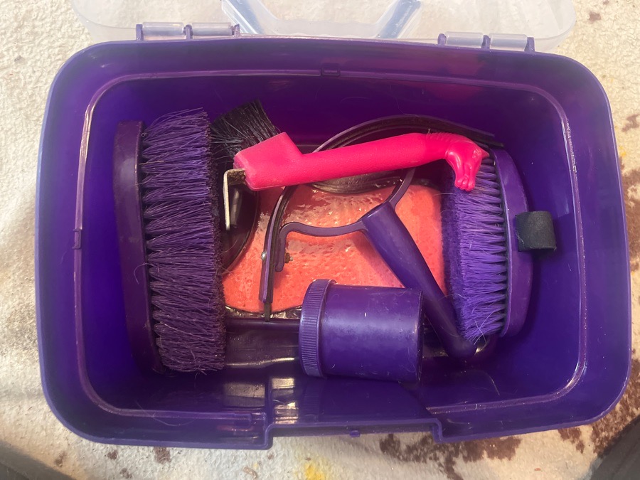 Grooming kit