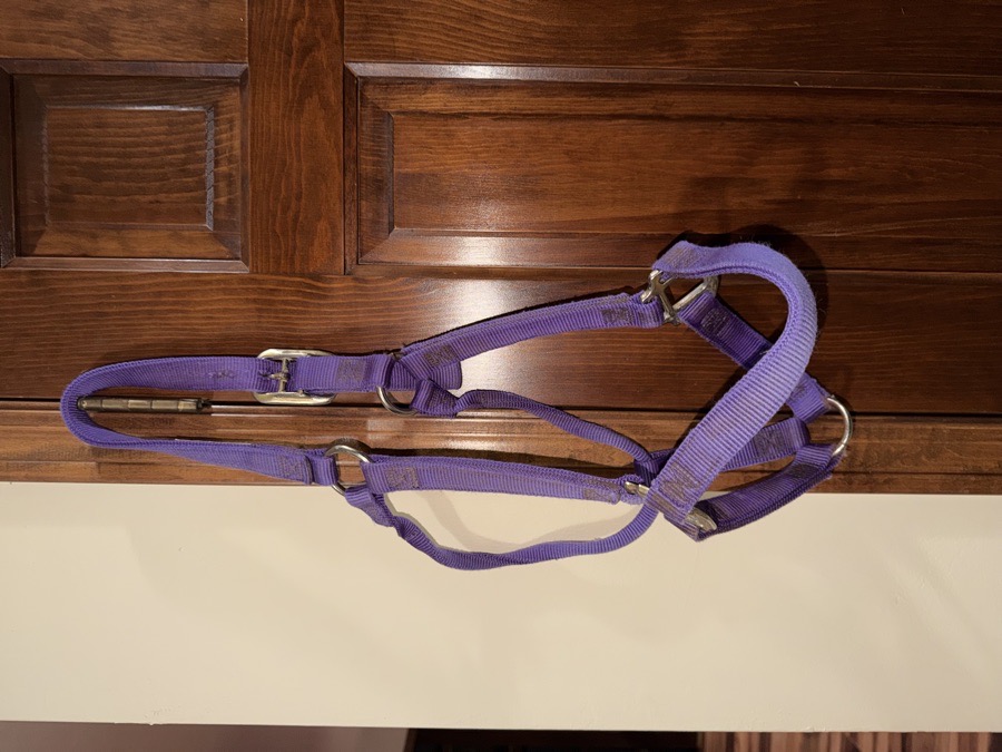 Weaver nylon halter