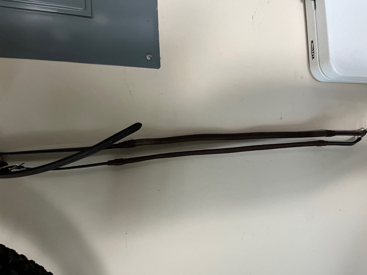 Dy’on Schooling reins pony size