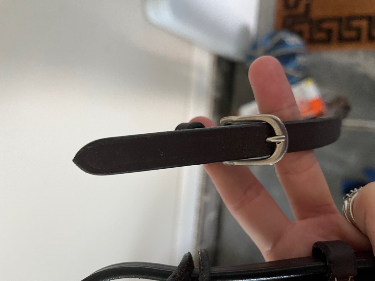 Dy’on Schooling reins pony size