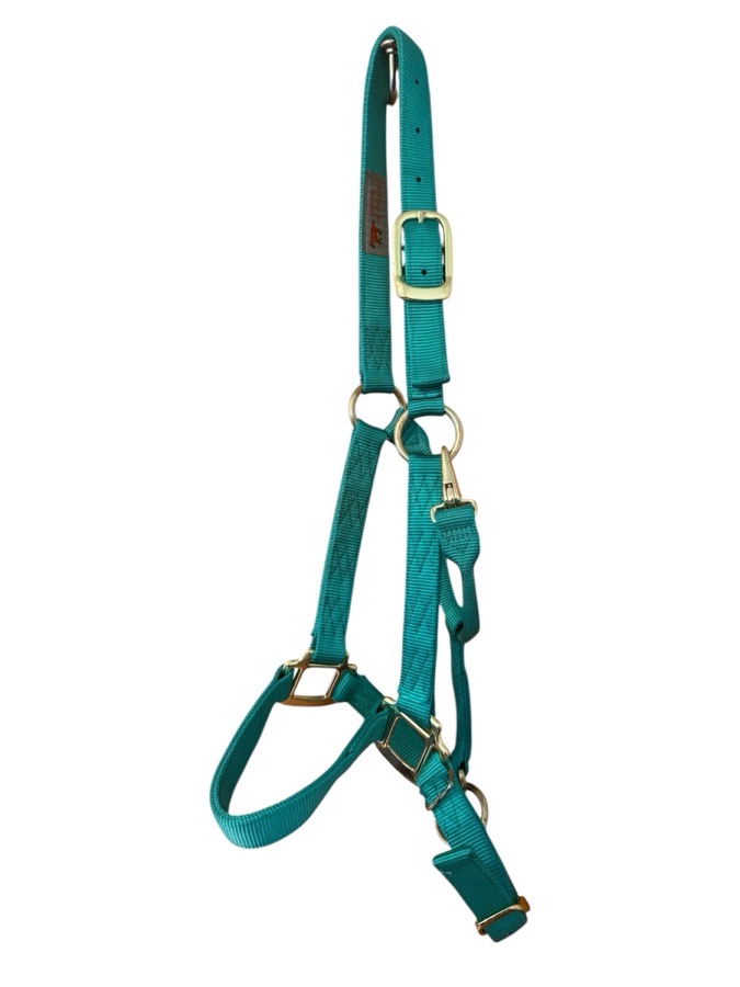 Turquoise Halter - #13