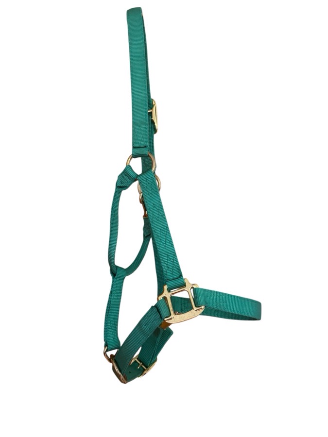Turquoise Halter - #13