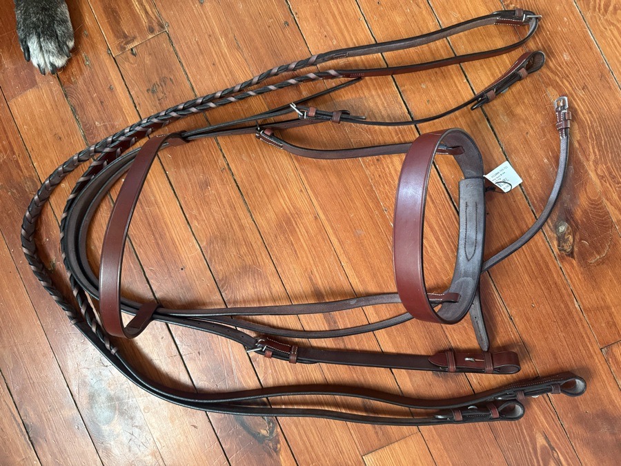 Draft sized hunt bridle- NWT