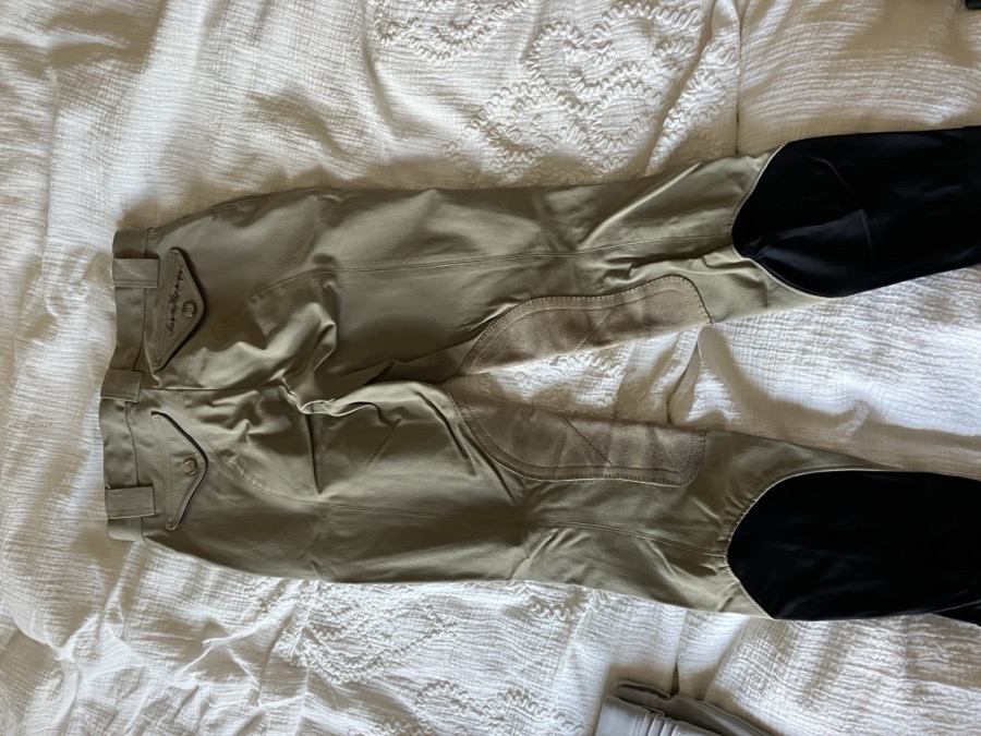 Sarm Hippique breeches