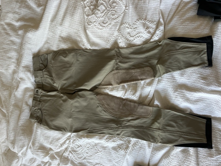 Sarm Hippique breeches