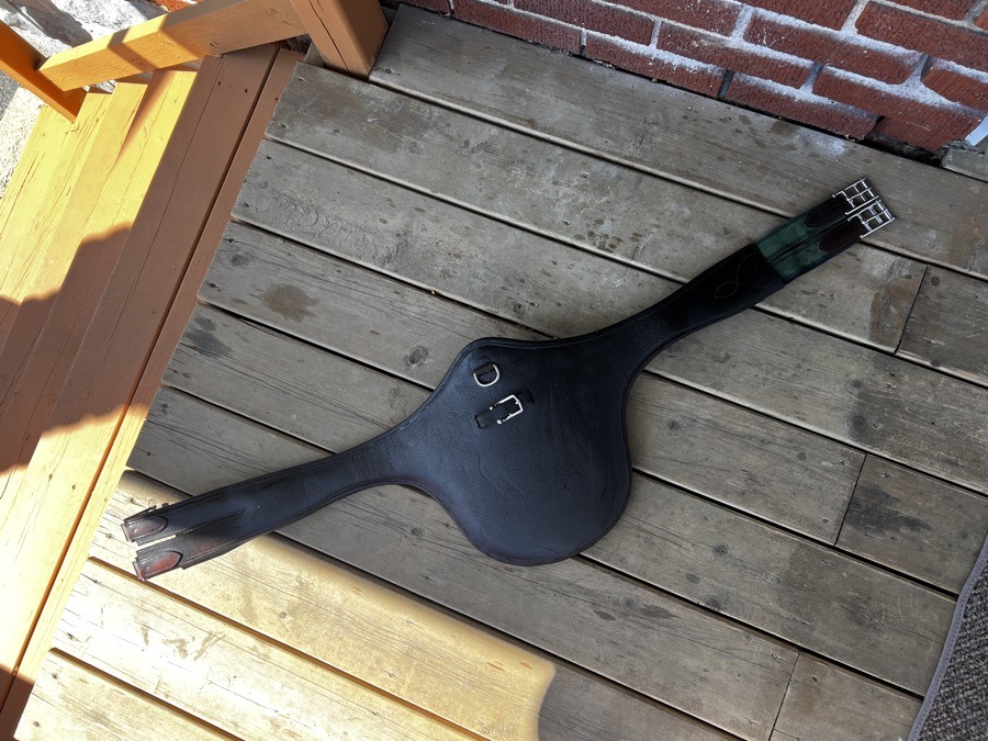 50” Amerigo Stud Girth