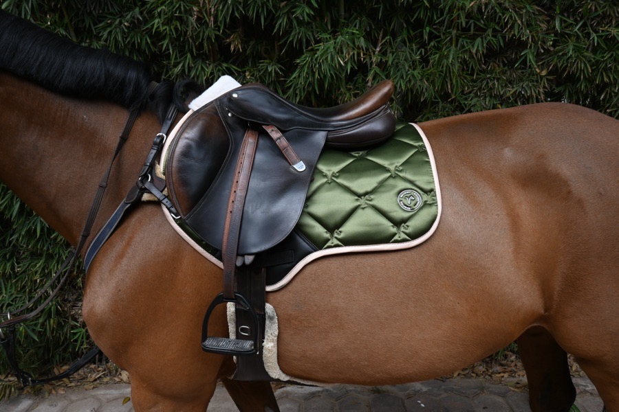 Bates CAIR close contact Saddle