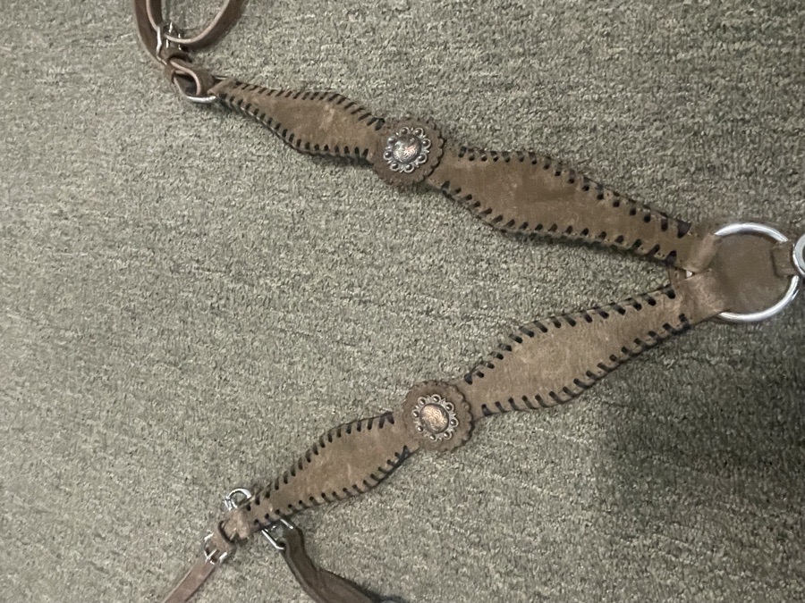 Breast collar with wither strap