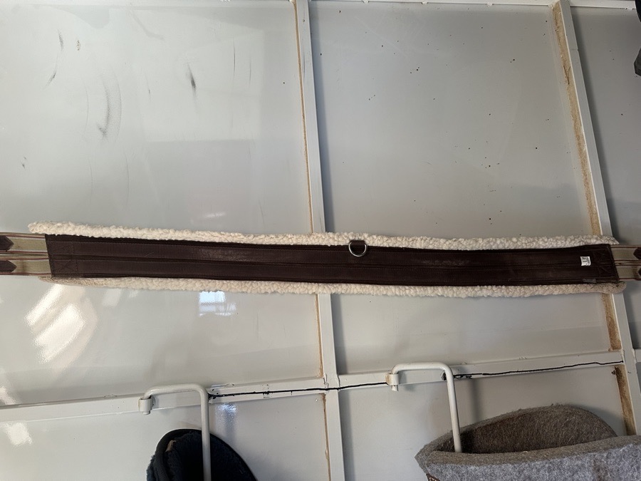 Ovation schooling fleece girth