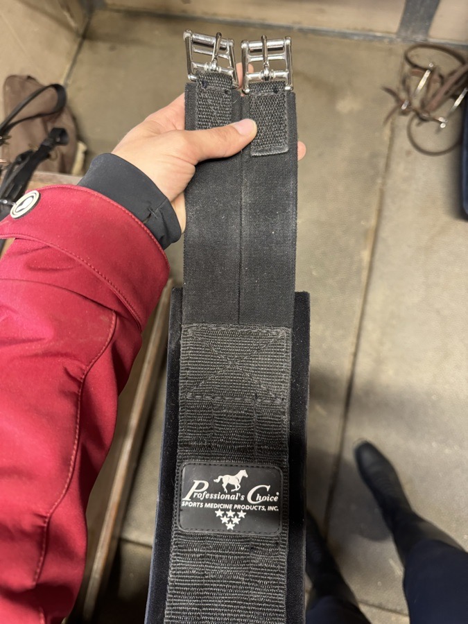 Professional choice girth