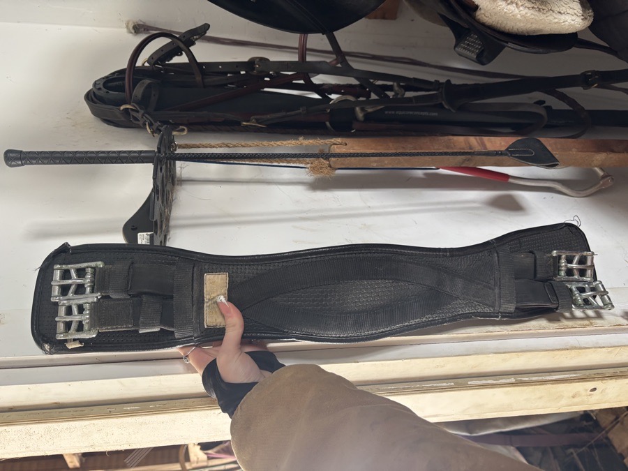 Lettia Clik Dressage Girth 32”