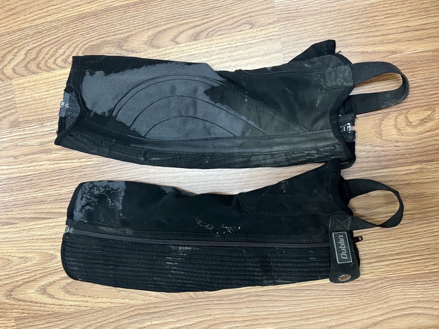 Dublin Suade Half Chaps (XS)