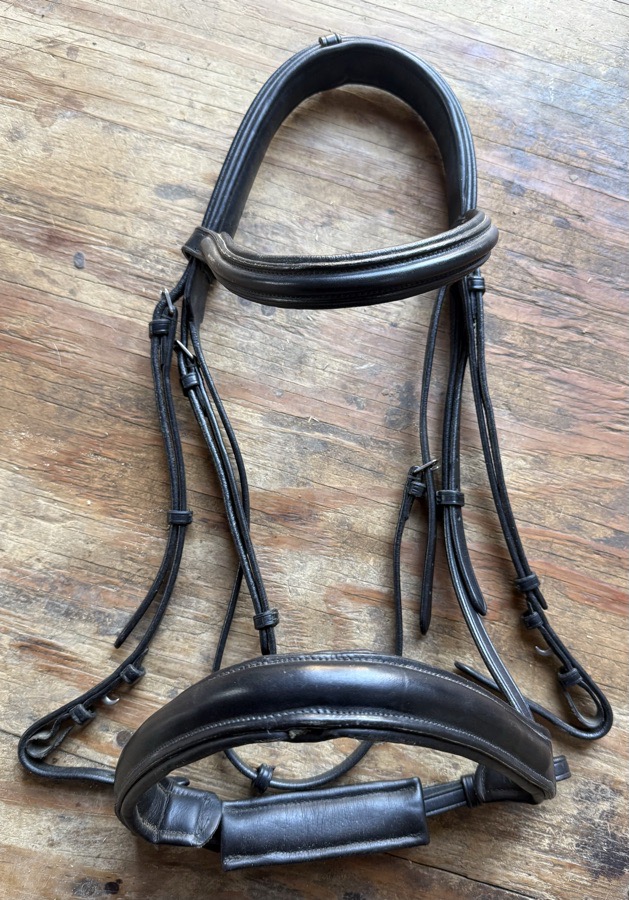 Padded OS black bridle