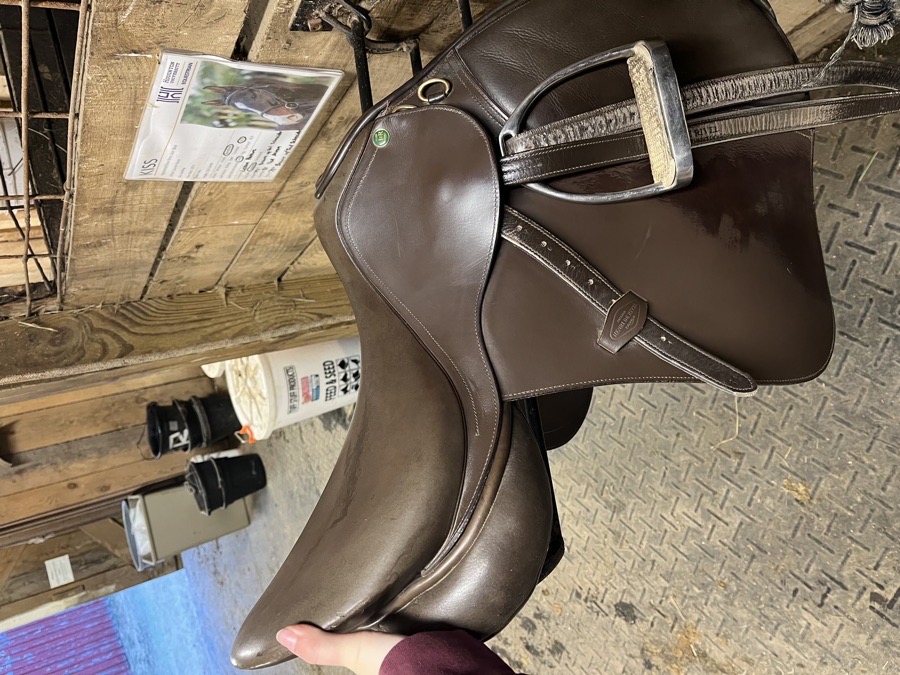 HDR Jump Saddle