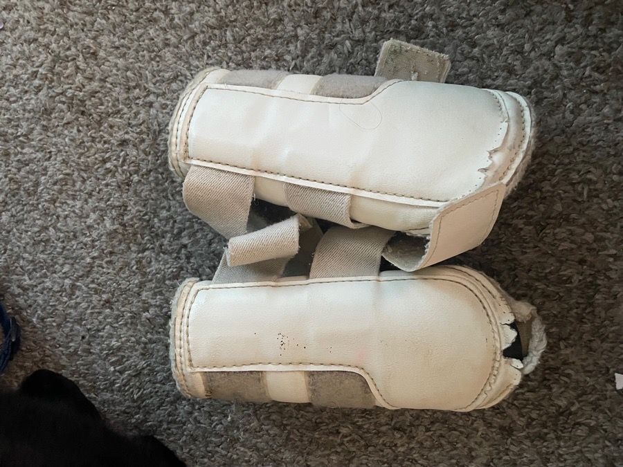 Wool lined brushing boots