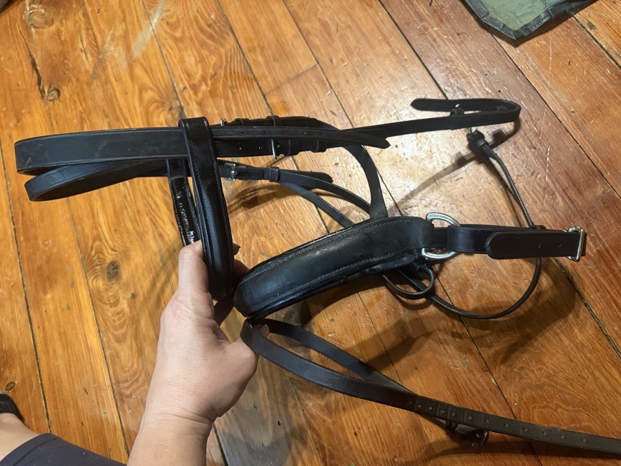 Black full sized crank flash noseband bridle