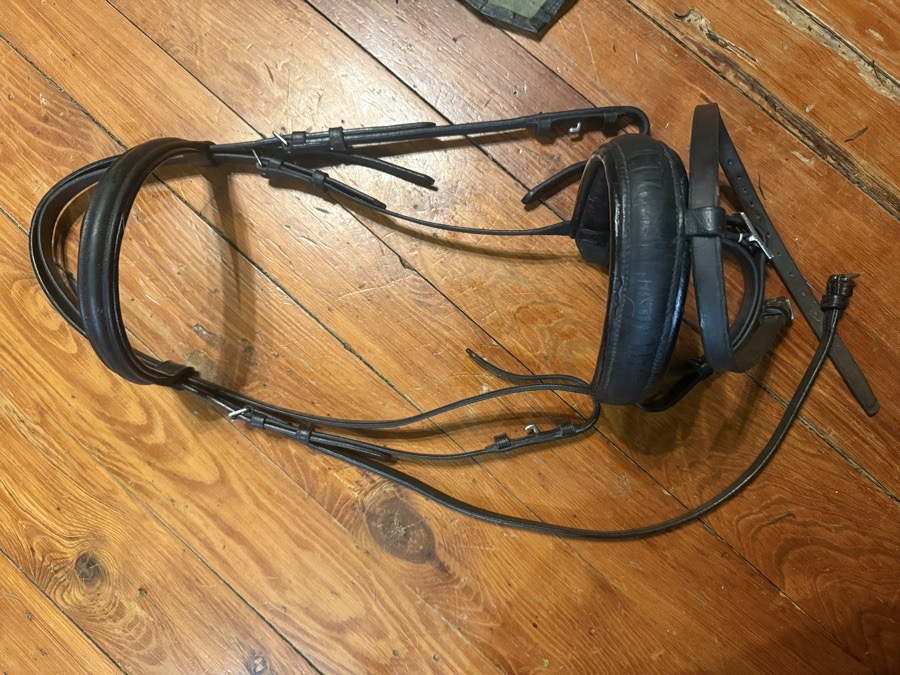 Black full sized crank flash noseband bridle