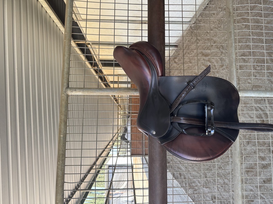 CWD SEO2 Saddle | Brown Leather Horse English Jumping Saddle