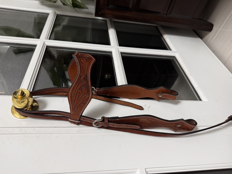 Western Headstall & Braided Reins