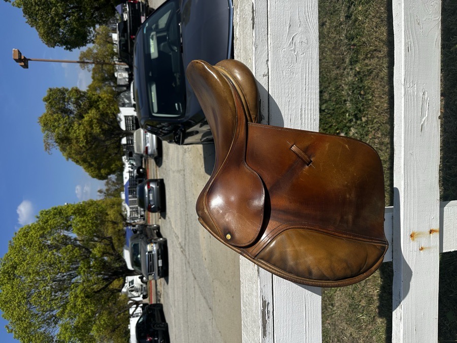 Legacy saddle 16”