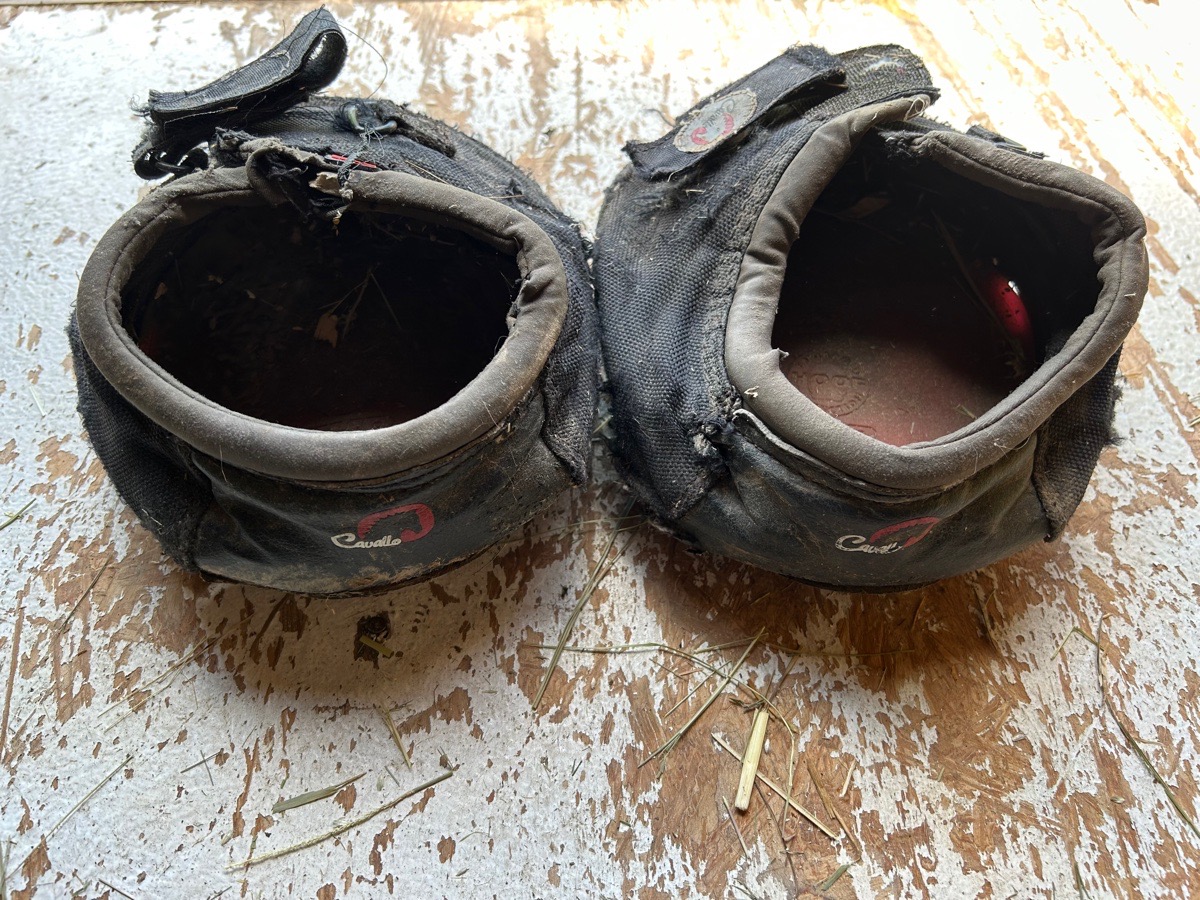 Pair Cavallo ELB Boots Size 6