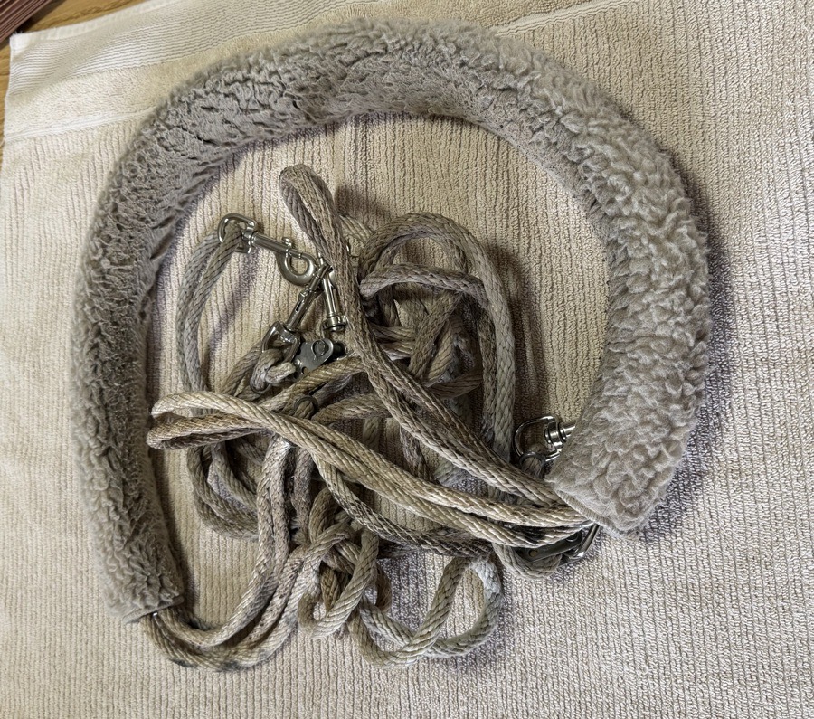 Pessoa Lunging System