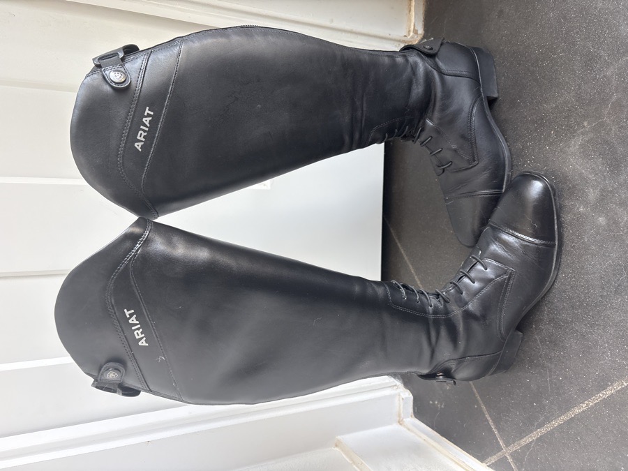 Ariat Palisade 10M Full