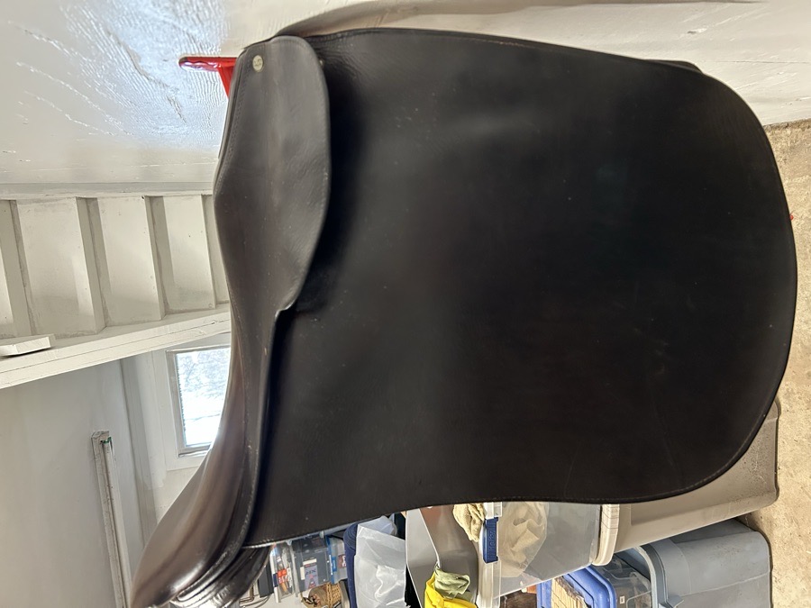 Campbell English Saddle