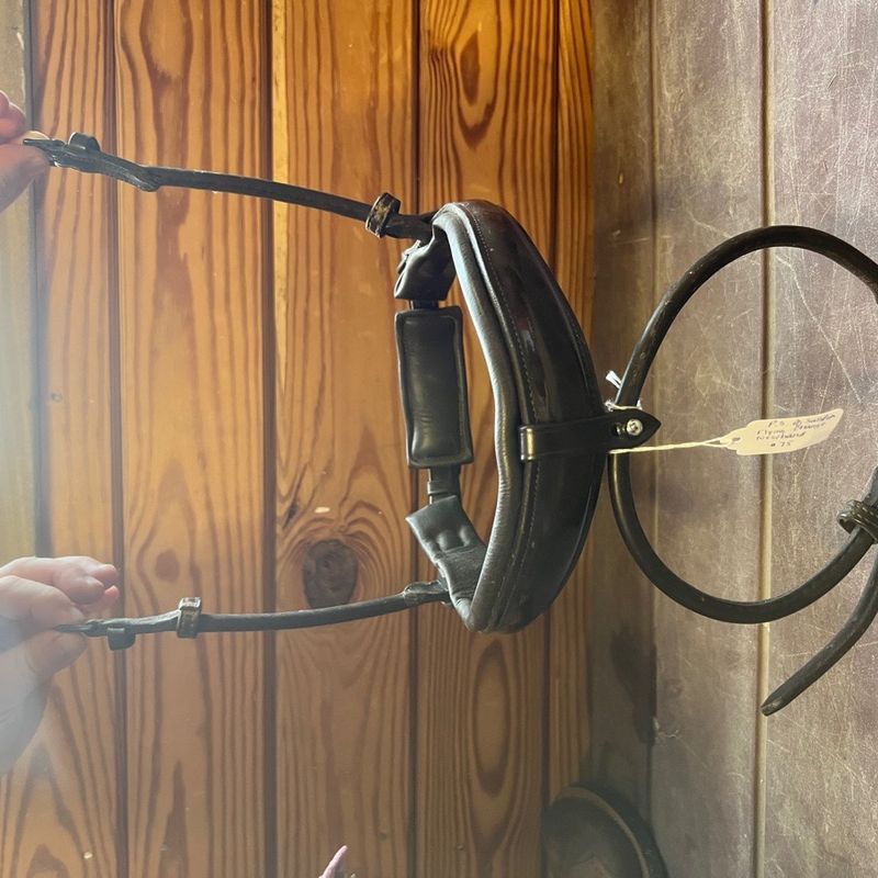 PS of Sweden flying change noseband