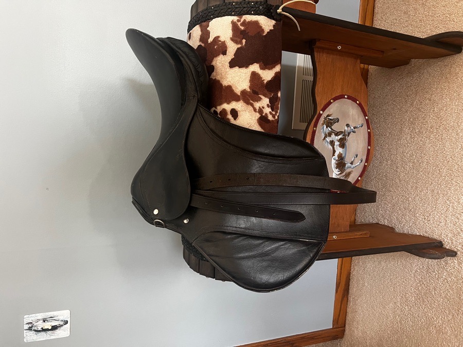 Black Saddle - Unknown