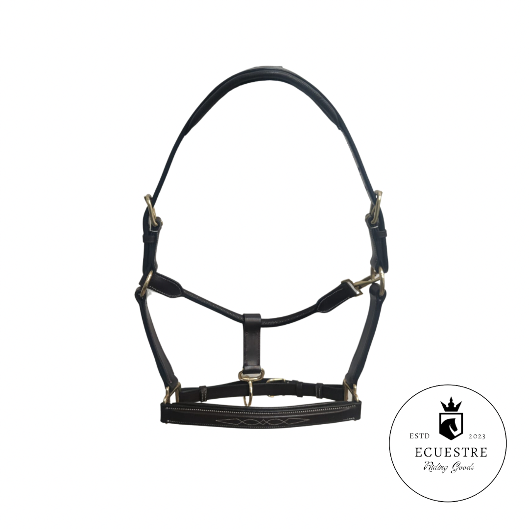 Premium leather halters