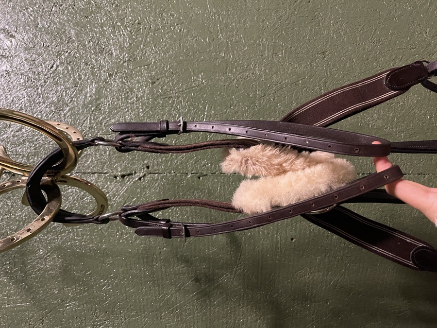 X/F Shires Rossano Breastplate