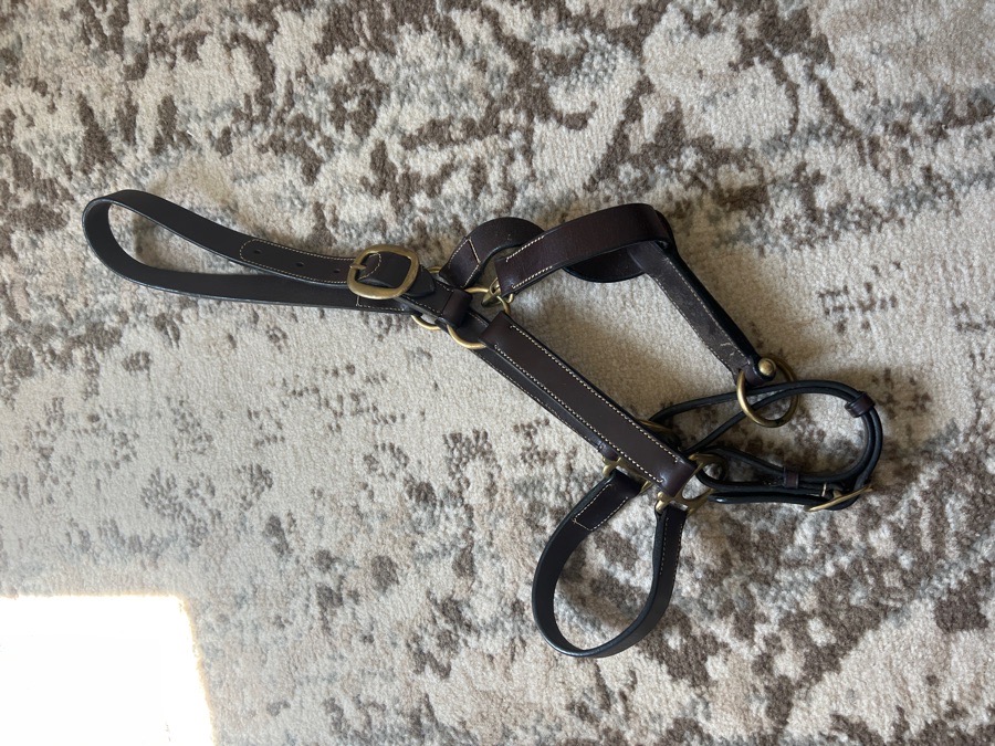 Leather Halter