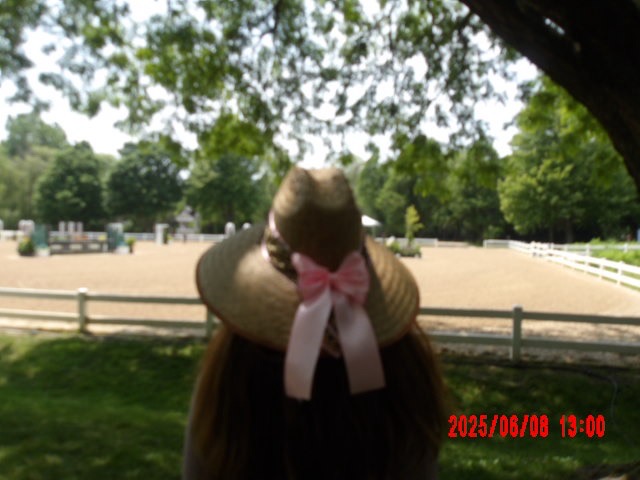 Alice Equestrian âIt Girlâ Sunhat