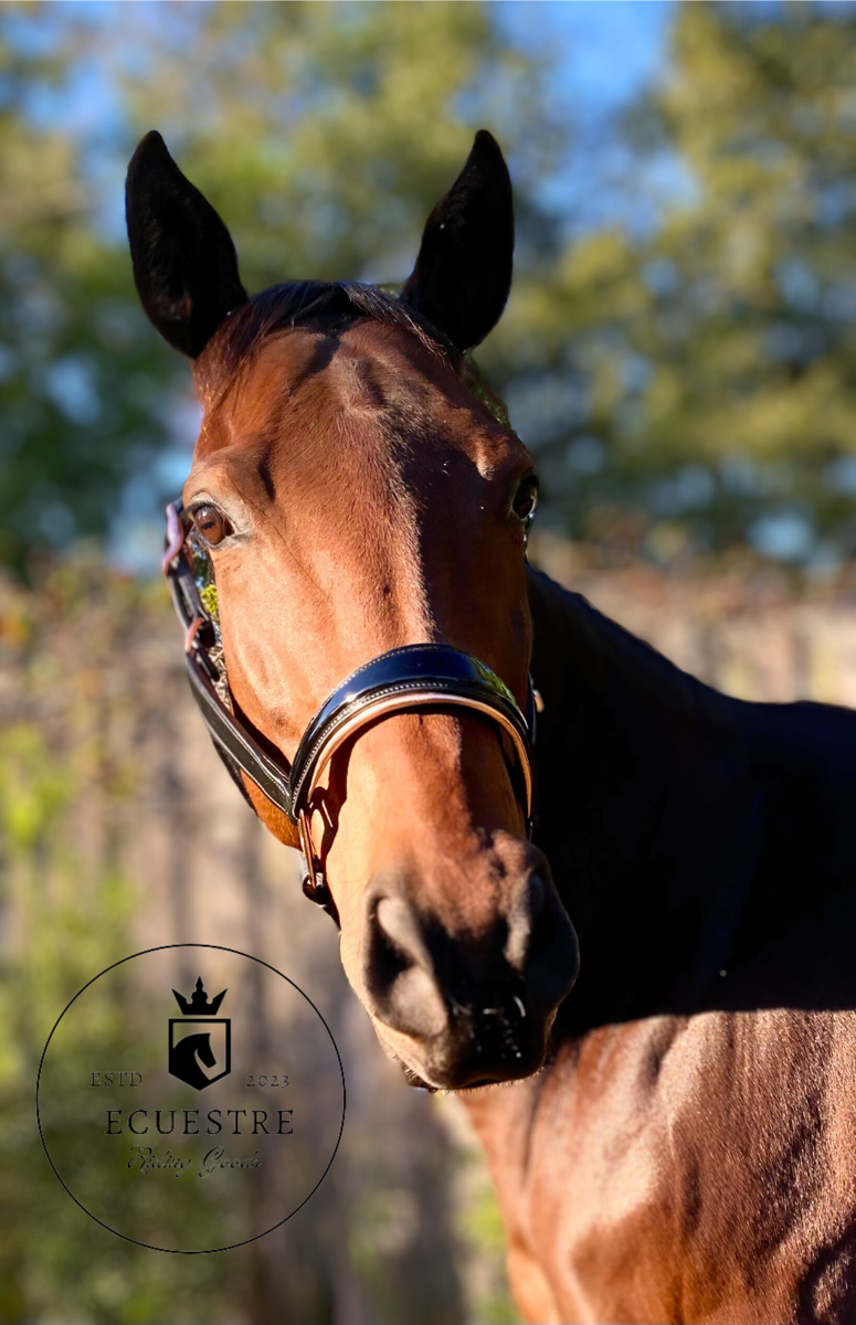Luxury anatomical leather halters - rose gold