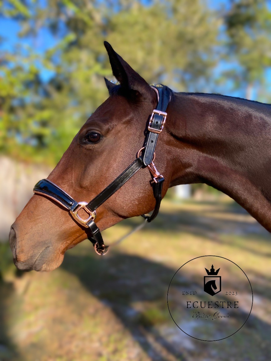 Luxury anatomical leather halters - rose gold