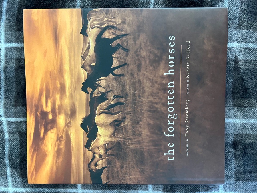 “The Forgotten Horses” Book (New)