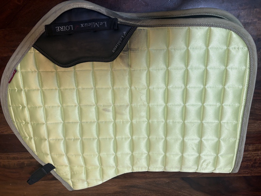 LeMieux Loire Classic Close Contact Pad - Kiwi