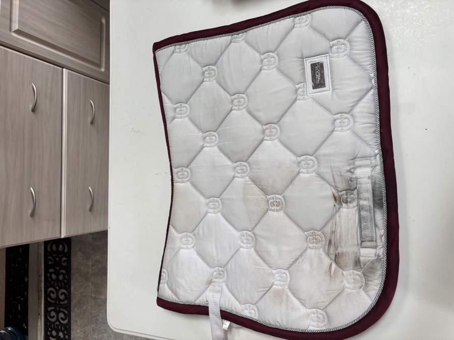 White Equestrian Stockholm Saddle Pad