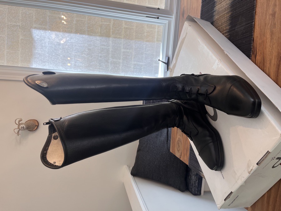 NEW Parlanti Miami Essential Field Boot