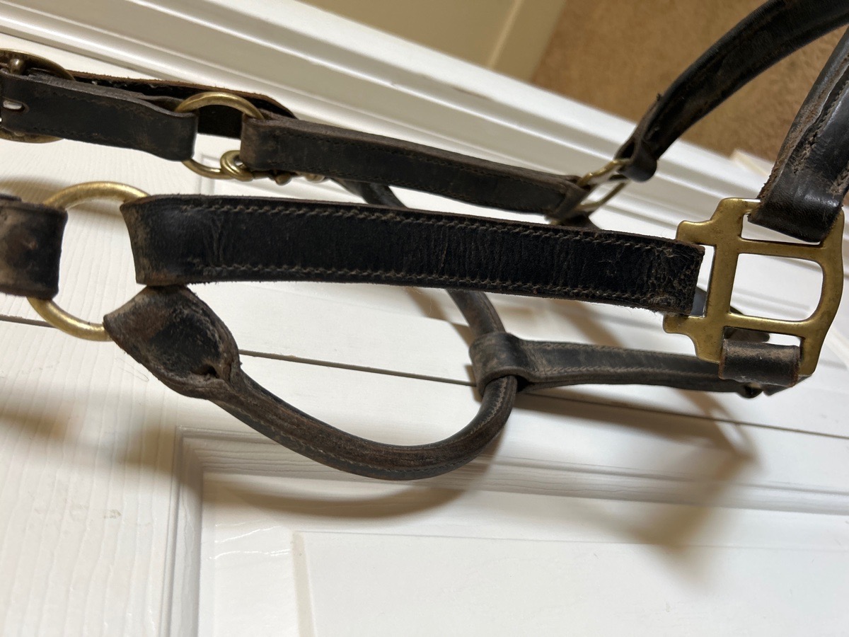 Leather Xfull halter