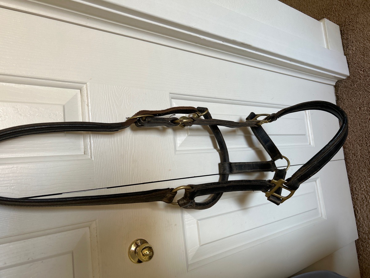 Leather Xfull halter