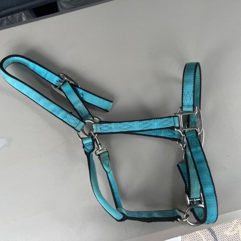 Teal and Black Halter