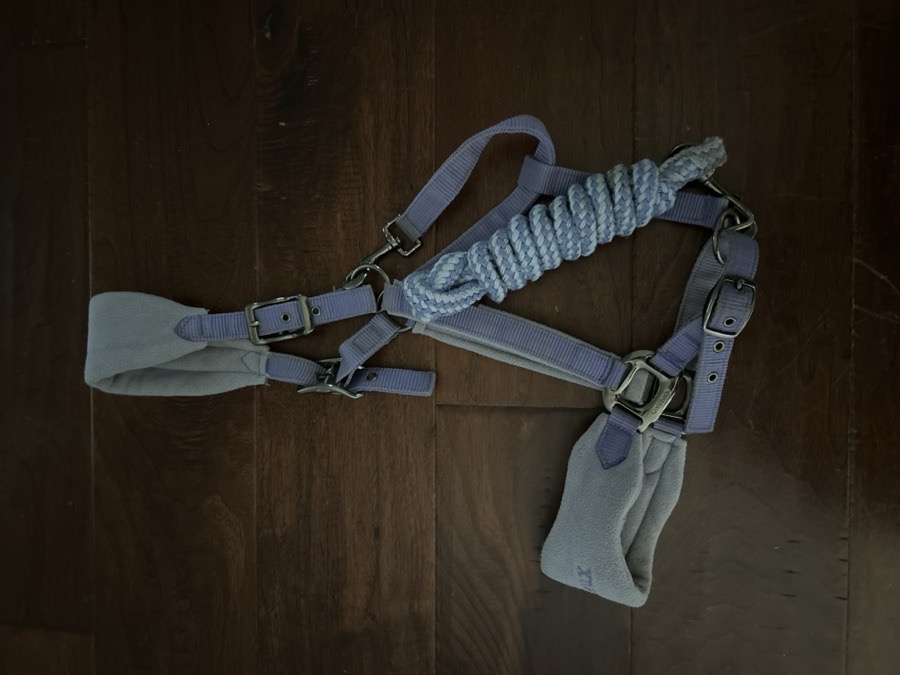 Oversize Wisteria LeMieux Halter and Leadrope (discontinued)