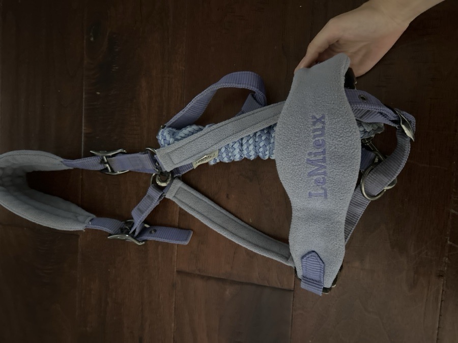 Oversize Wisteria LeMieux Halter and Leadrope (discontinued)