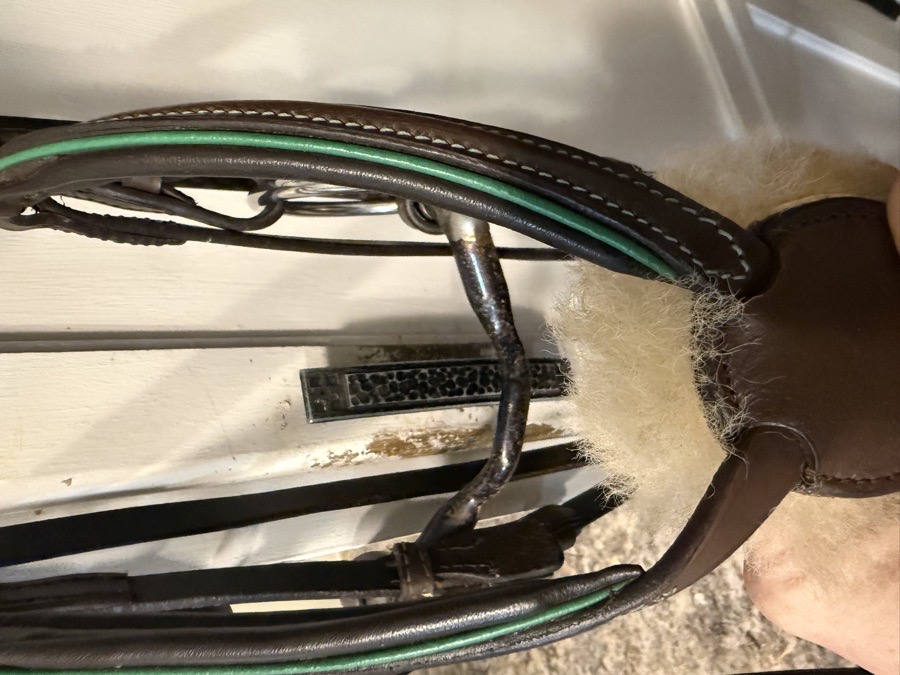 Pink Equine Figure 8 Bridle