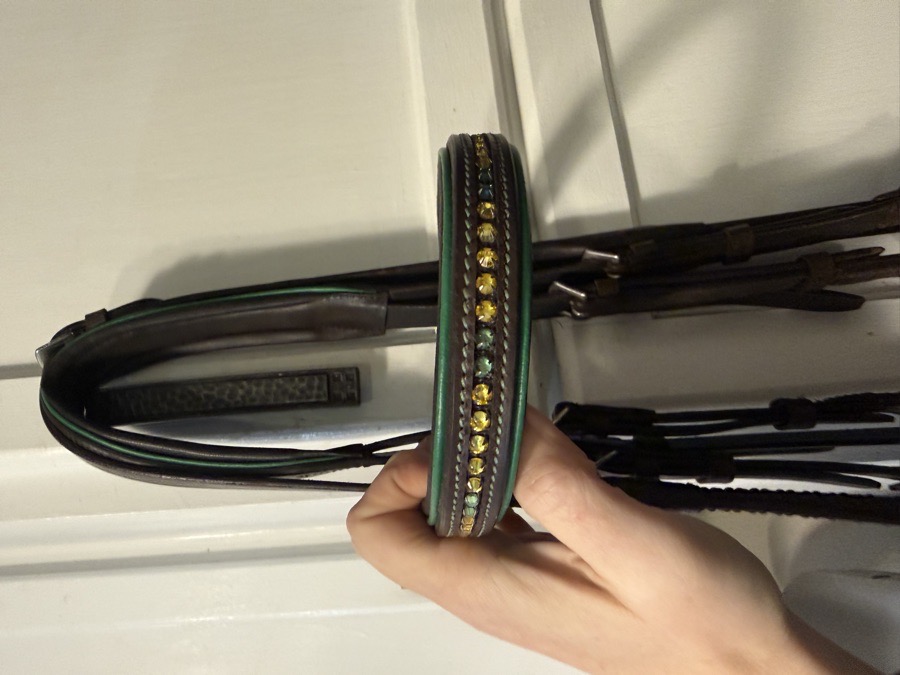 Pink Equine Figure 8 Bridle