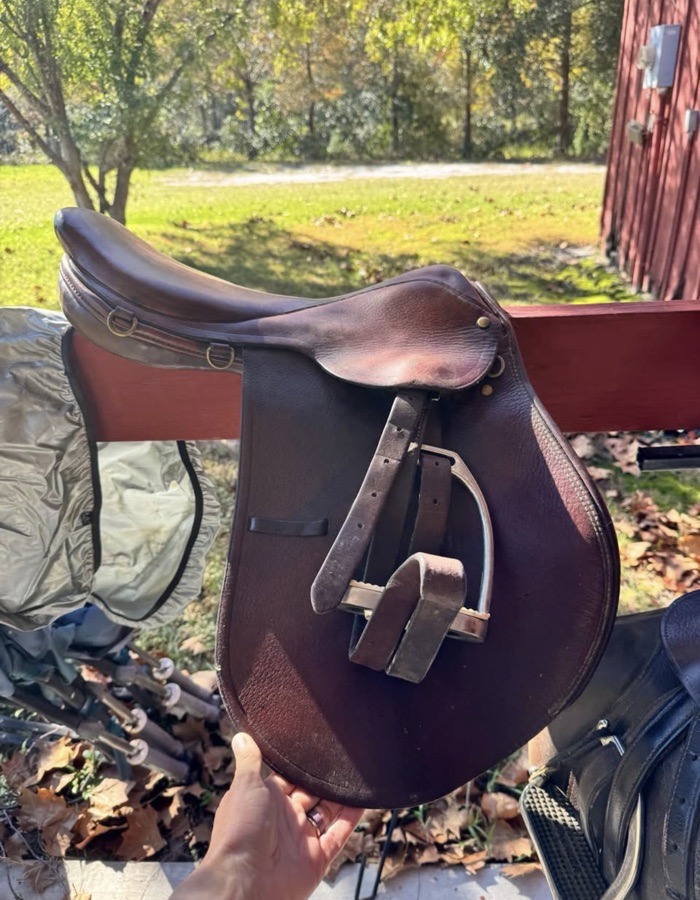 16.5 Blue Ribbon wool flocked