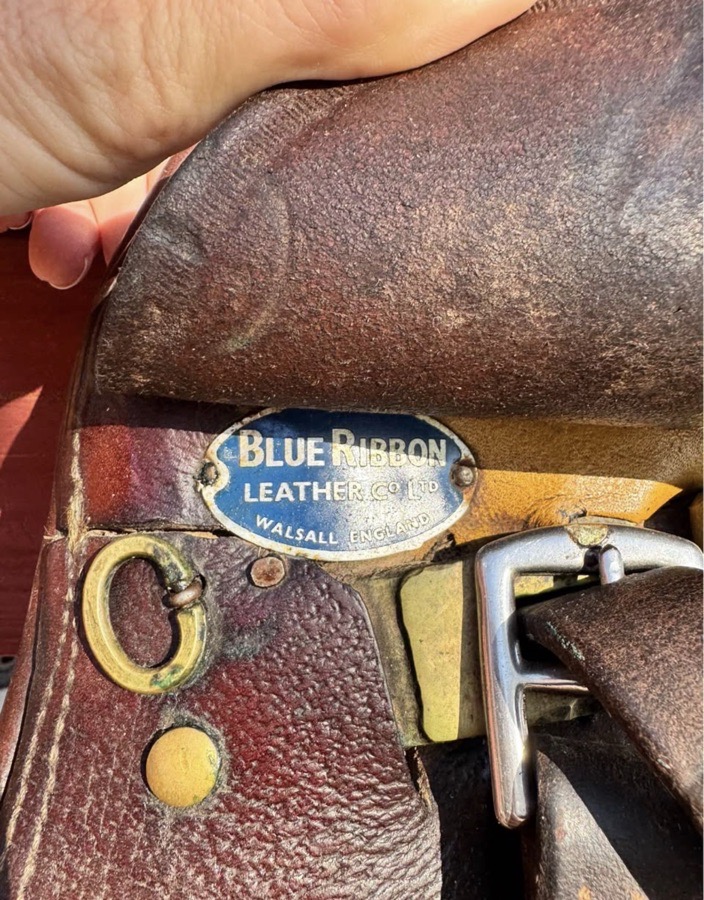 16.5 Blue Ribbon wool flocked