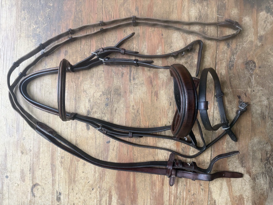 Full sized Dominus flash bridle